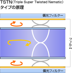 TSTN^Cv̌