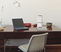 In the study 