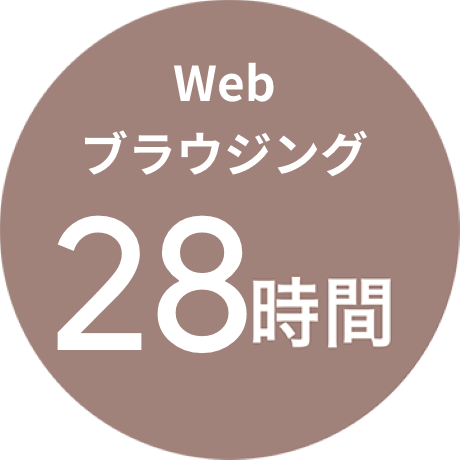 Webブラウジング28時間