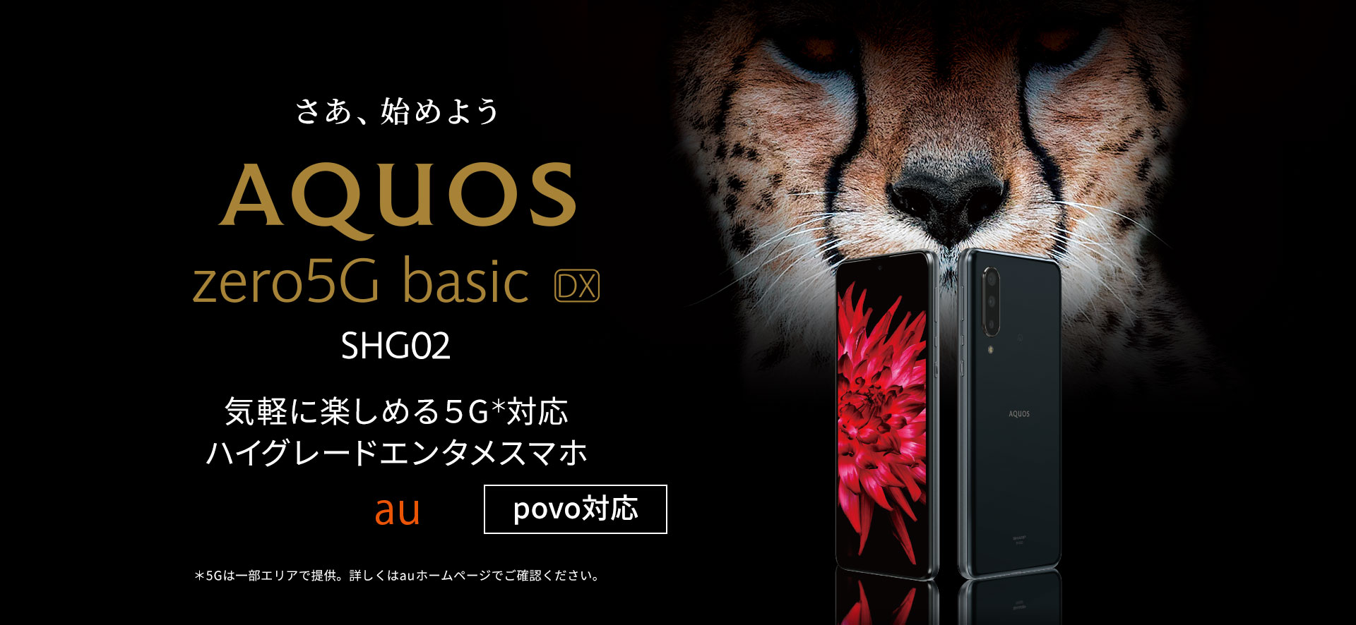 AQUOS zero5G basic DX SHG02