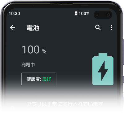 電池の健康度