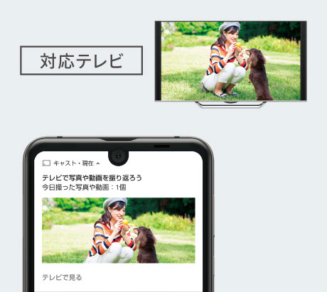 対応テレビ