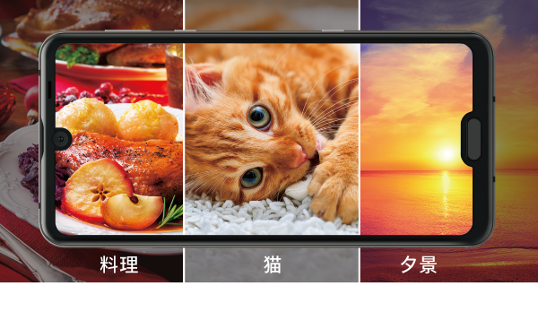 料理：より美味しそうに、猫：ブレを少なく、夕景：より印象的に