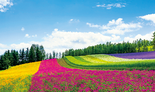 5.5インチ大画面