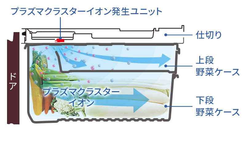 野菜室全体に広がるプラズマクラスター