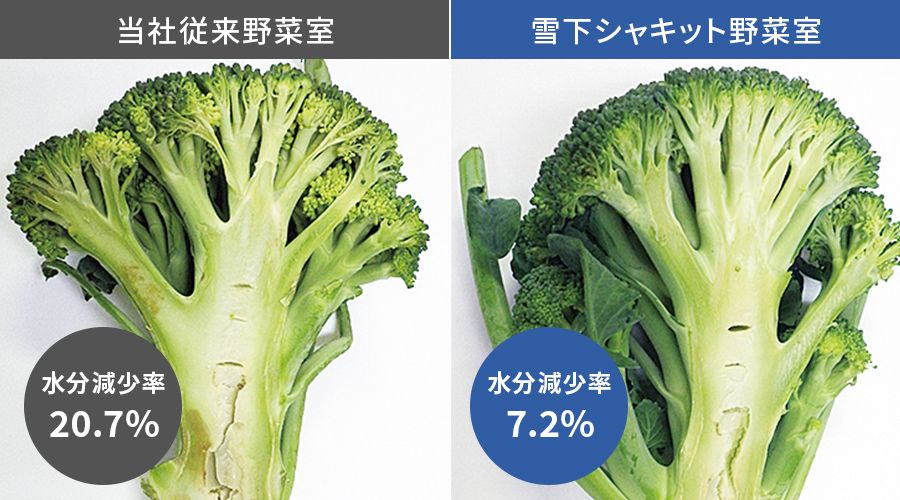 従来野菜室と雪下シャキット野菜室で1週間保存したブロッコリーの比較写真。従来野菜室は水分が20.7%減少しているが、雪下シャキット野菜室は7.2%に抑えられている。
