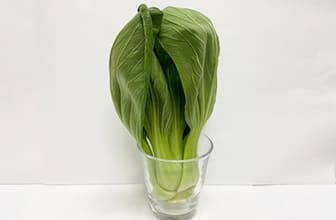 雪下シャキット野菜室のチンゲンサイの写真