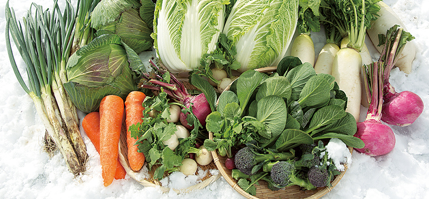 雪国の野菜イメージ