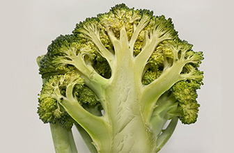 雪下シャキット野菜室のブロッコリーの写真