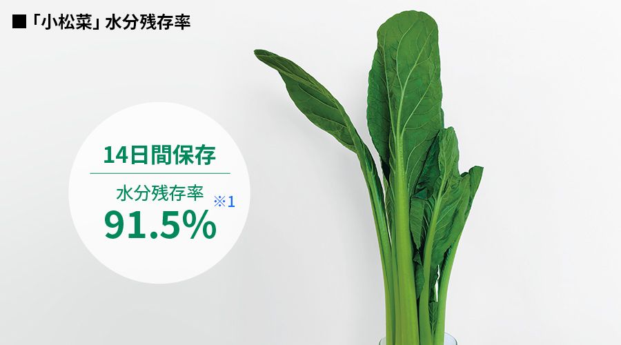 14日間保存した小松菜の水分残存率は91.5%