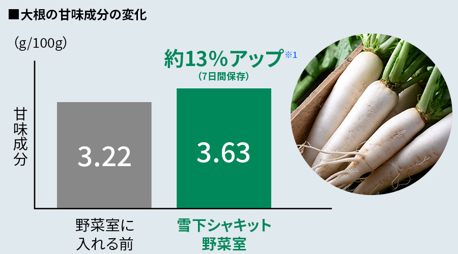 大根を雪下シャッキット野菜室で7日間保存すると、甘味成分が約13%増えている