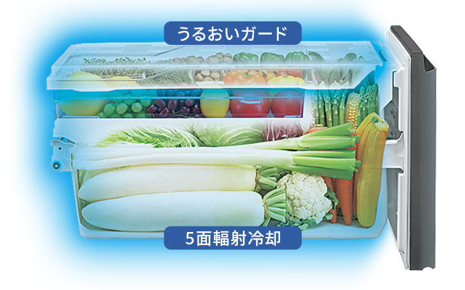 野菜を乾燥から守る雪下シャキット野菜室のイメージ