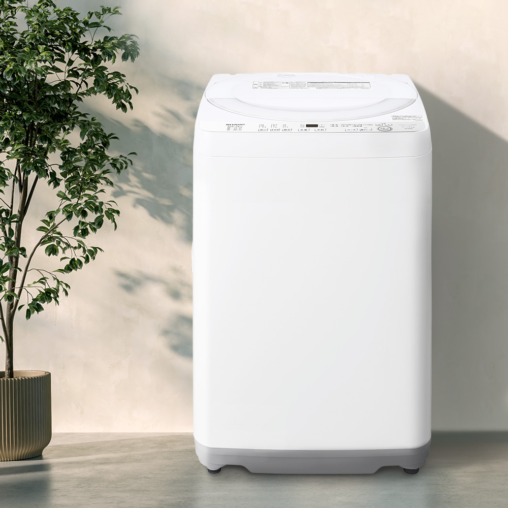 ドラム式洗濯乾燥機 ES-GE6K：-S（シルバー系）