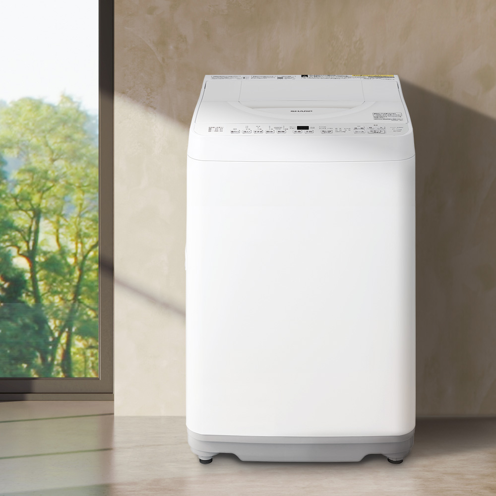 ドラム式洗濯乾燥機 ES-TX6K：-S（シルバー系）