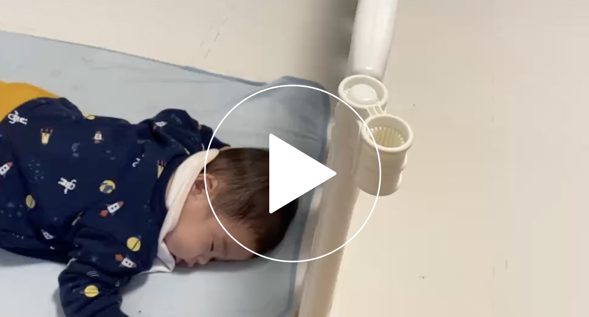 佐賀県　もちみにもにさんの写真