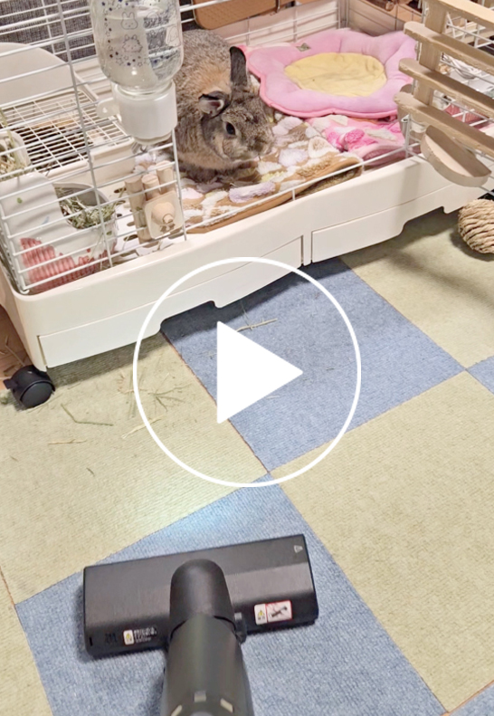 大阪府  ななみんさんの写真