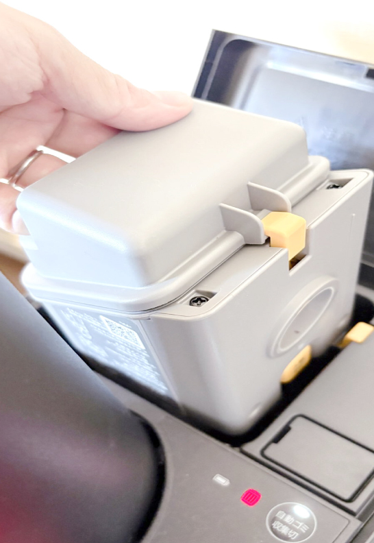 東京都  ゆらまりえさんの写真