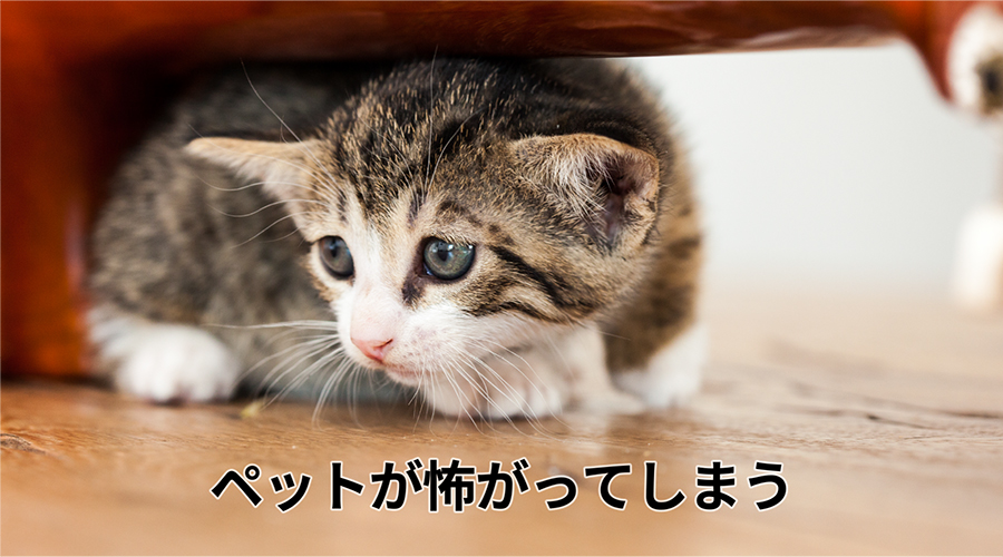 ペットが怖がってしまう