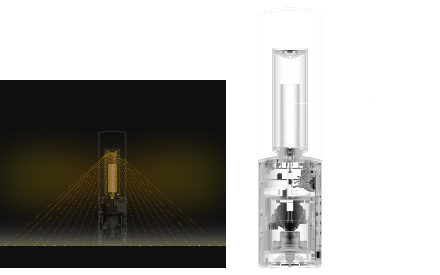 柔らかく拡がりのある光