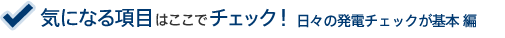 CɂȂ鍀ڂ͂Ń`FbNIX̔d`FbN{ 