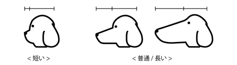 頭の長さの基準の画像。目から鼻先の割合が、鼻先から後頭部までの長さの1割～2割程度であれば短く、それ以上であれば普通/長いと判定してください。