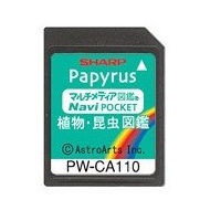 別売オプション品詳細│電子辞書（Brain/Papyrus）│サポート
