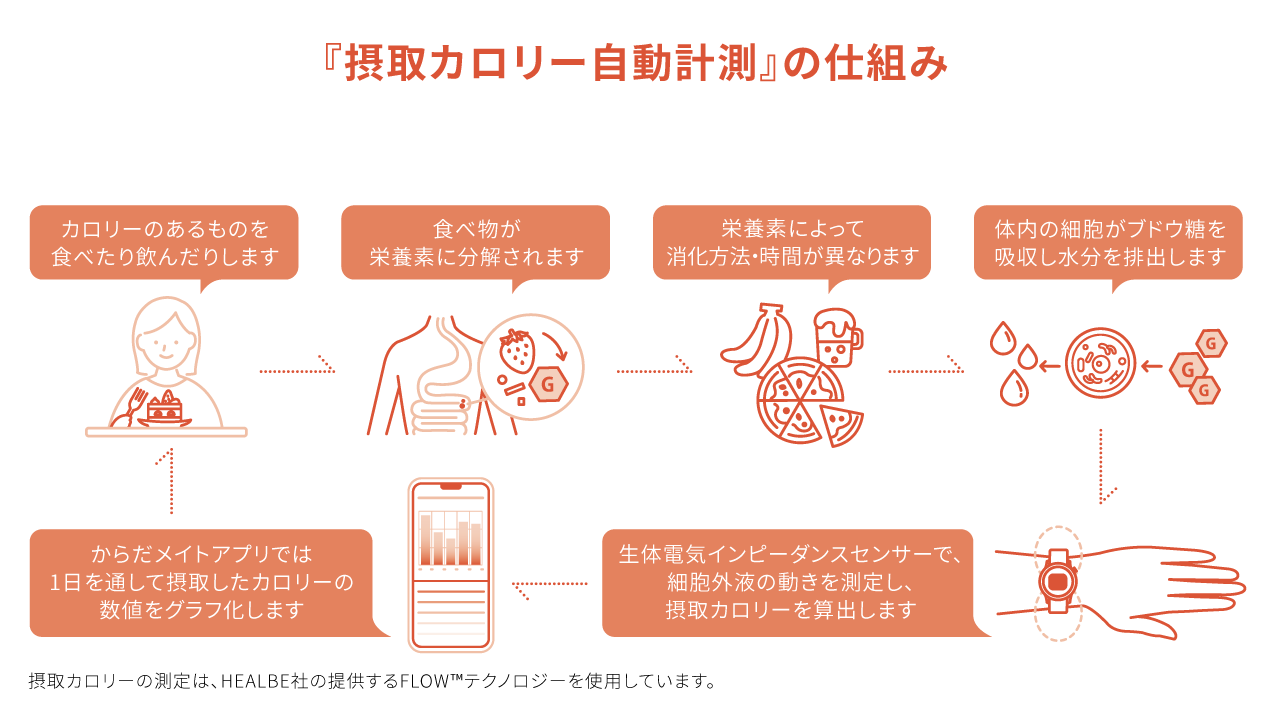 食事から栄養素が消化・吸収され、センサーで摂取カロリーを算出してアプリに表示する流れ