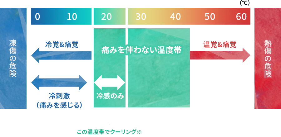 温度と冷覚・温覚・痛覚の関係